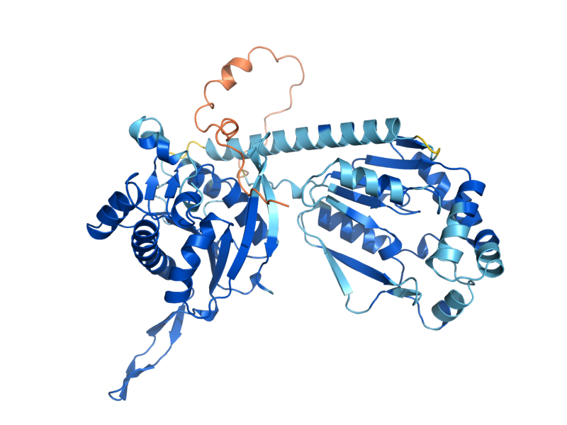 AlphaFold predicted structure of URK1