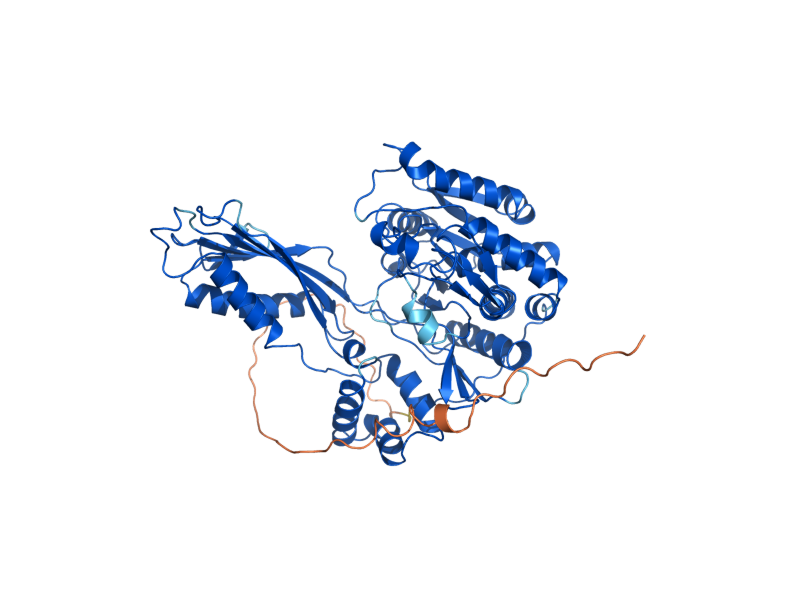 AlphaFold predicted structure of CPS1