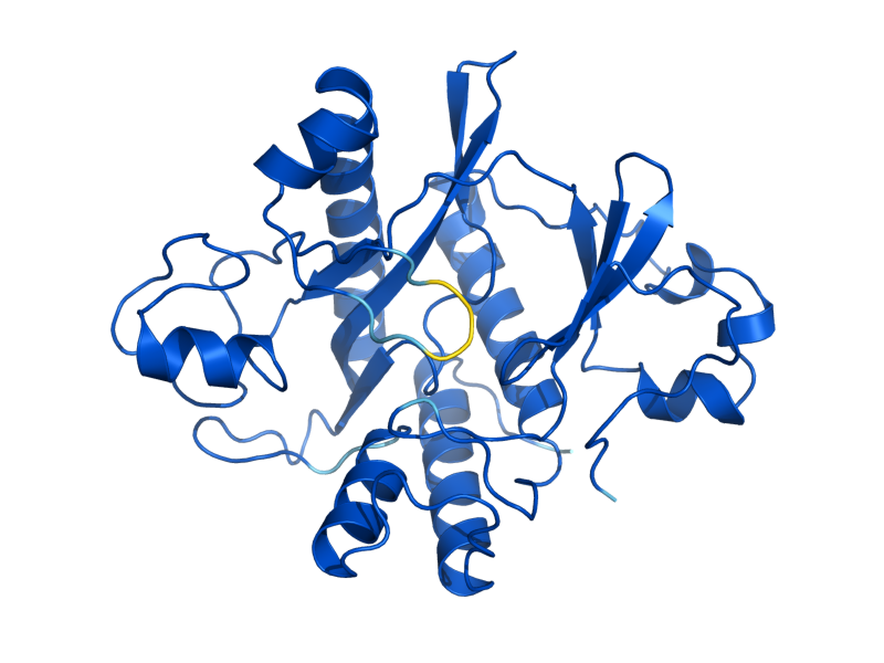 AlphaFold predicted structure of ADE1
