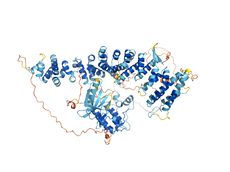 AlphaFold predicted structure of CDC15
