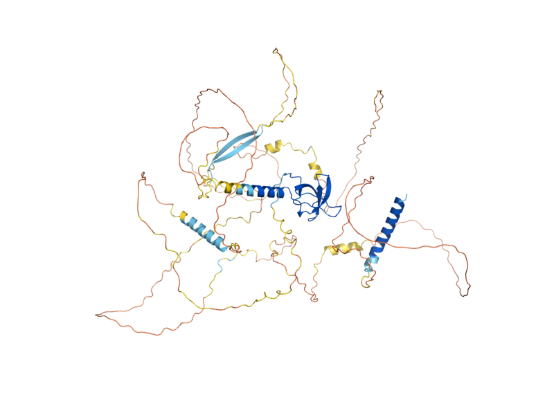 AlphaFold predicted structure of BUD14
