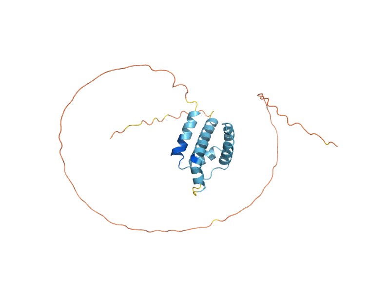 AlphaFold predicted structure of TIP1