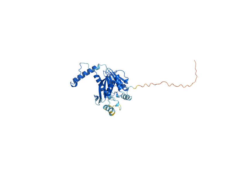 AlphaFold predicted structure of COQ3