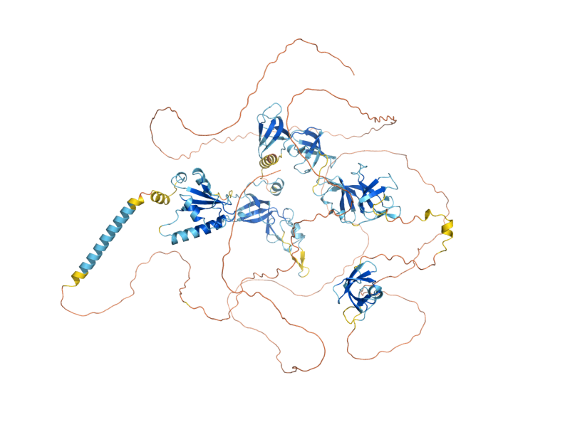 AlphaFold predicted structure of SPT5