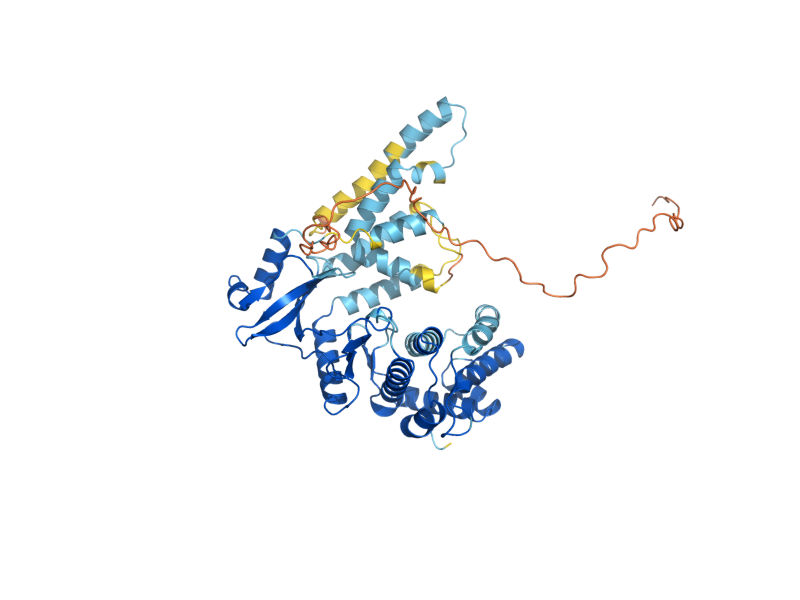 AlphaFold predicted structure of COQ8