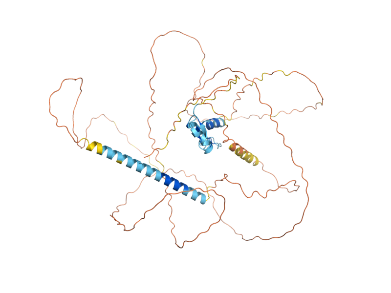 AlphaFold predicted structure of MIG1