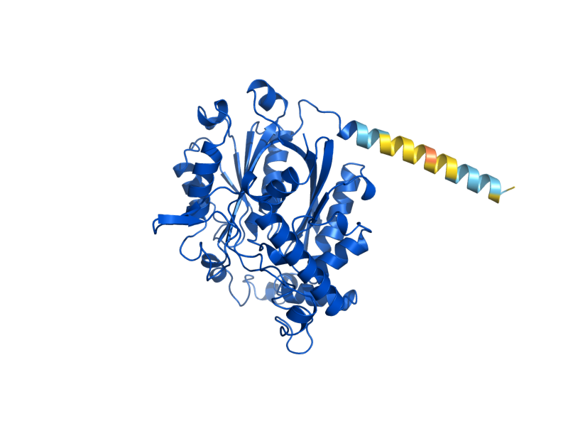 AlphaFold predicted structure of POT1