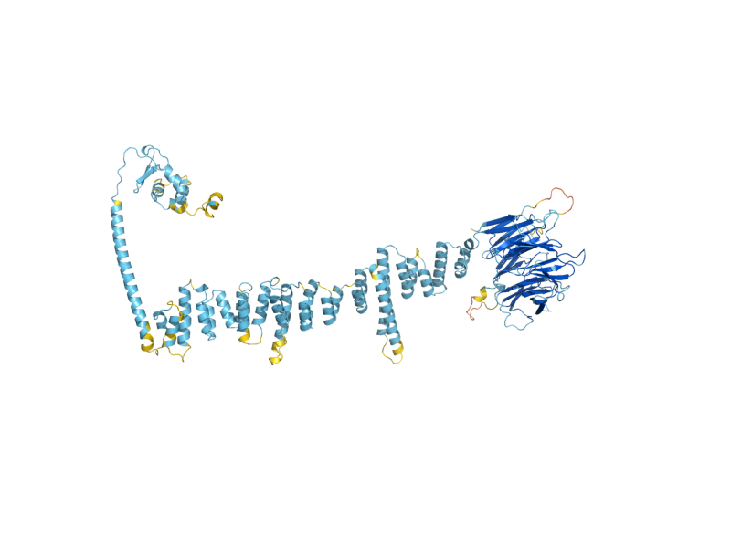AlphaFold predicted structure of PEP3
