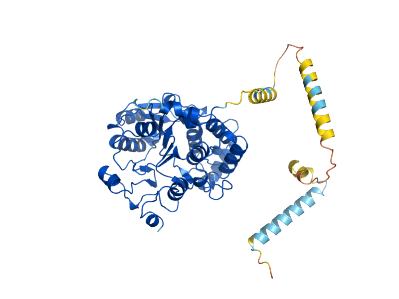 AlphaFold predicted structure of KRE2