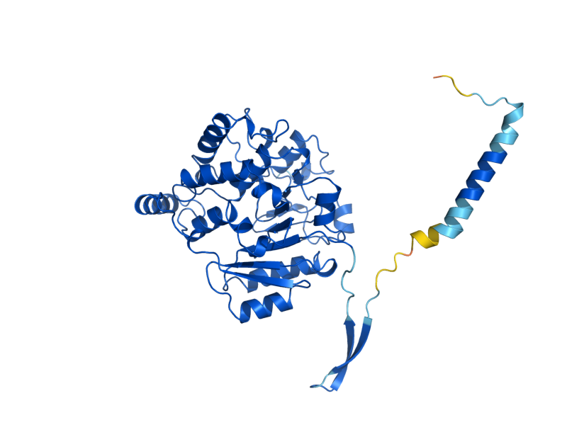 AlphaFold predicted structure of KTR1