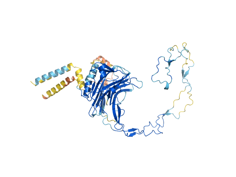 AlphaFold predicted structure of CNE1