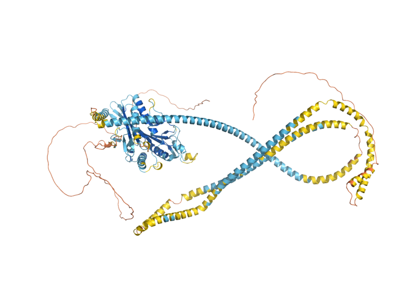 AlphaFold predicted structure of CIN8