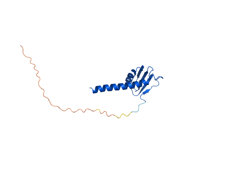 AlphaFold predicted structure of RPC19