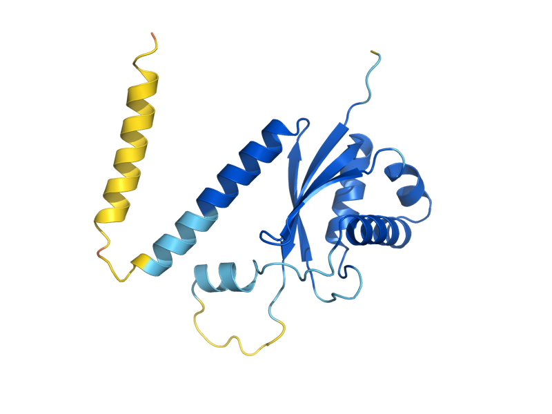 AlphaFold predicted structure of POP5