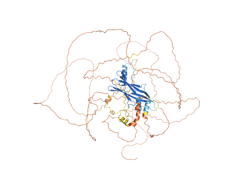 AlphaFold predicted structure of GAC1