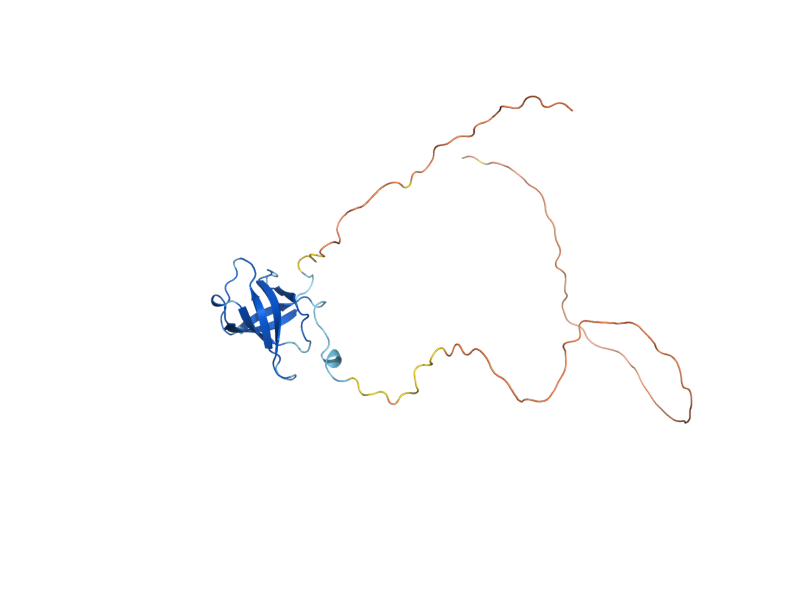 AlphaFold predicted structure of GAR1