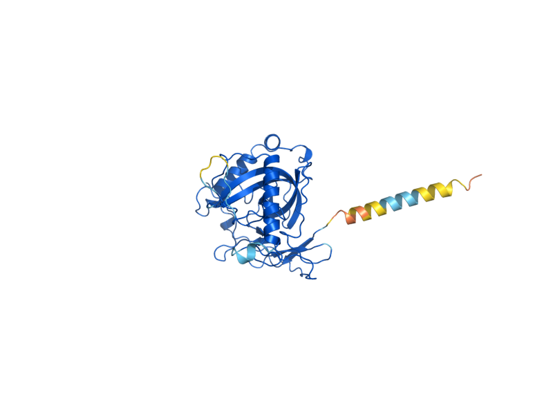 AlphaFold predicted structure of PPA2