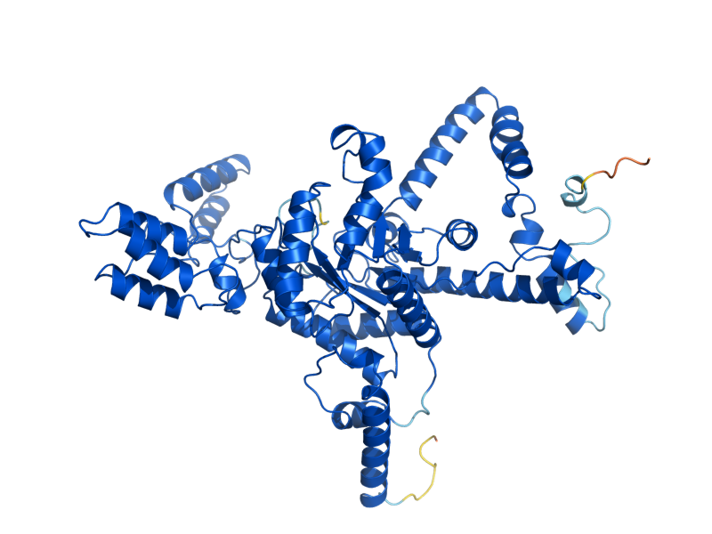 AlphaFold predicted structure of ICL1