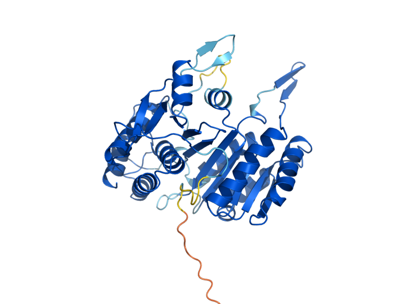 AlphaFold predicted structure of IDH2