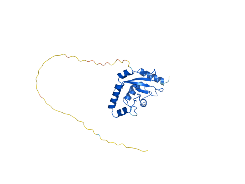 AlphaFold predicted structure of UBC8