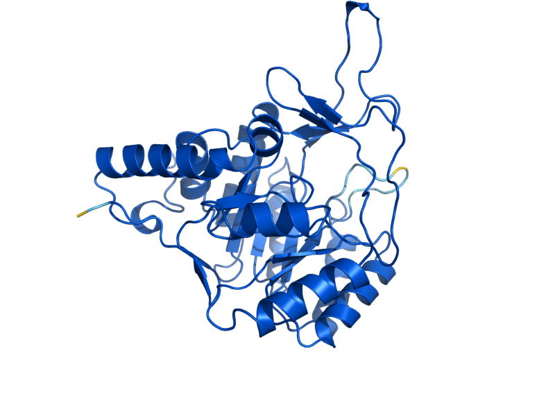 AlphaFold predicted structure of URA1