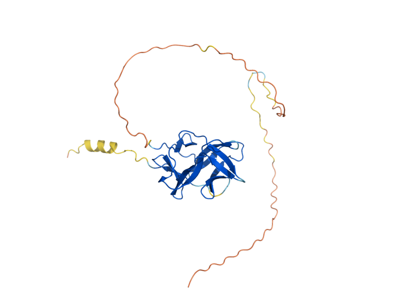 AlphaFold predicted structure of CWP1