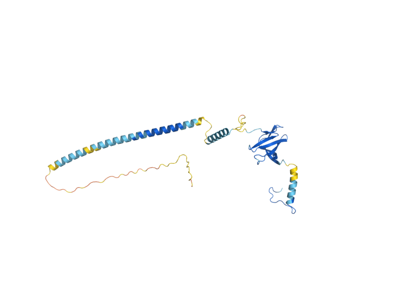 AlphaFold predicted structure of YJU2