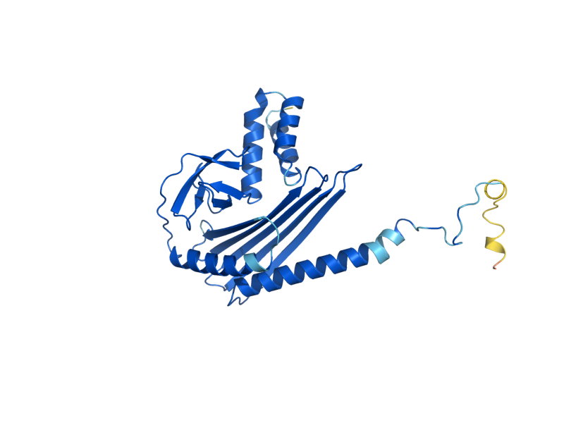 AlphaFold predicted structure of CAP1