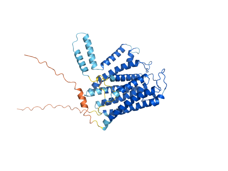 AlphaFold predicted structure of LAC1