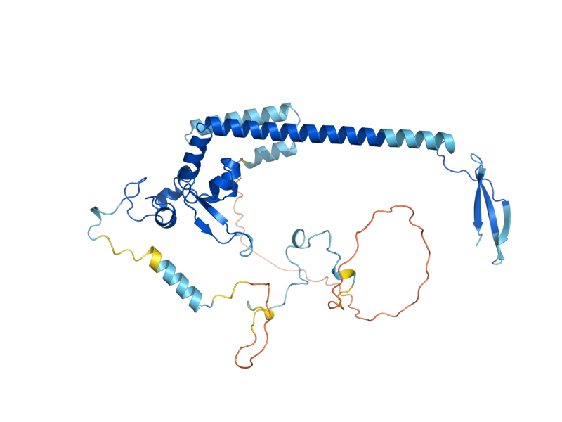 AlphaFold predicted structure of RAD14