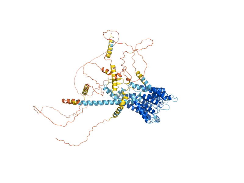 AlphaFold predicted structure of TRK2