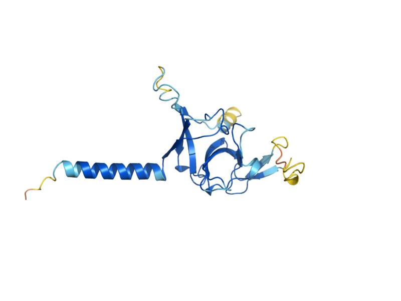AlphaFold predicted structure of IMP1