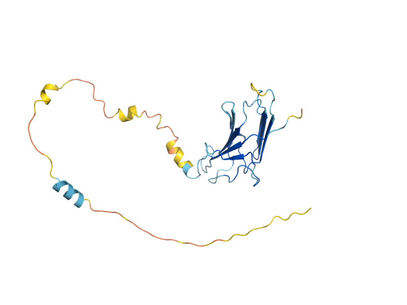 AlphaFold predicted structure of SBA1