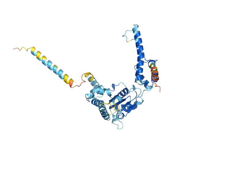 AlphaFold predicted structure of MSP1