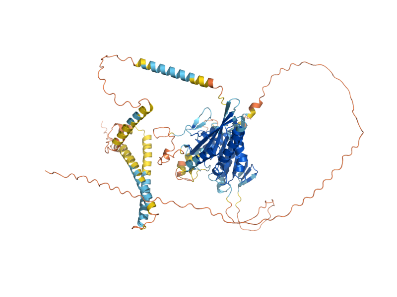 AlphaFold predicted structure of KIP2