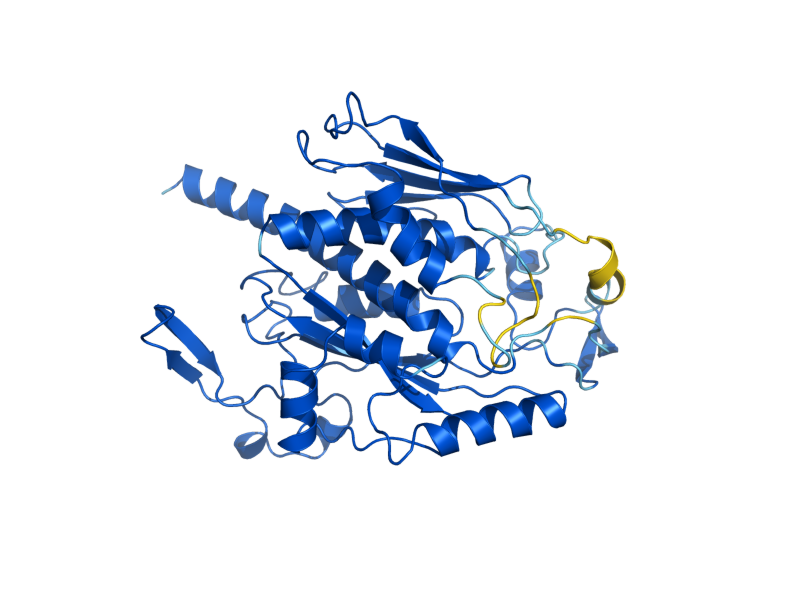AlphaFold predicted structure of ARO2