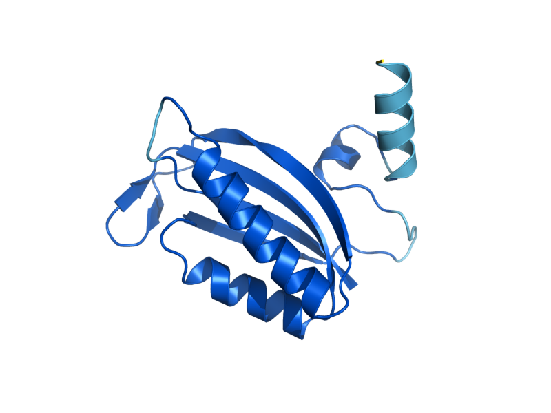 AlphaFold predicted structure of MRP17