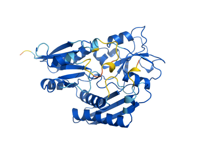 AlphaFold predicted structure of HEM3