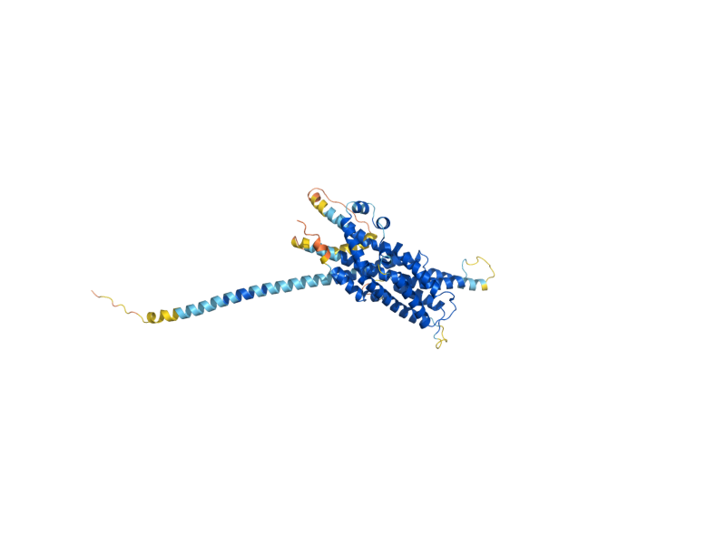 AlphaFold predicted structure of PEX3