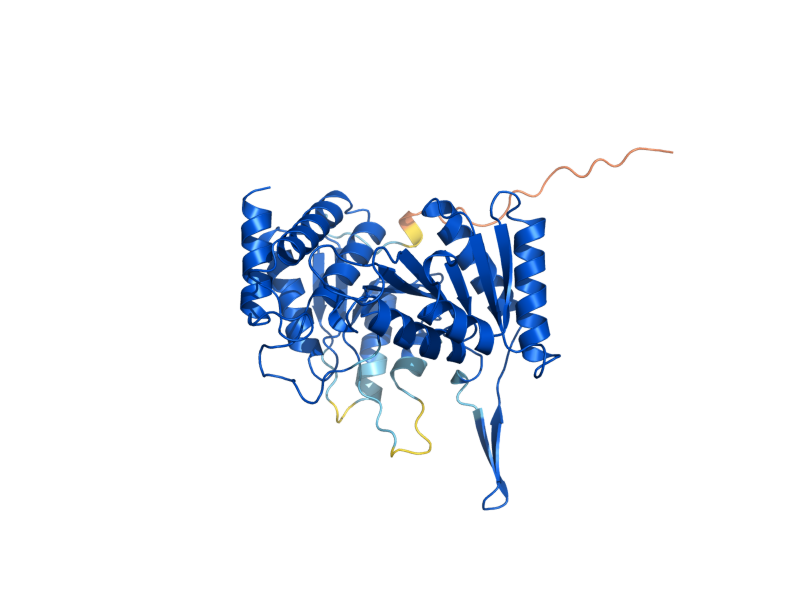 AlphaFold predicted structure of IDH1