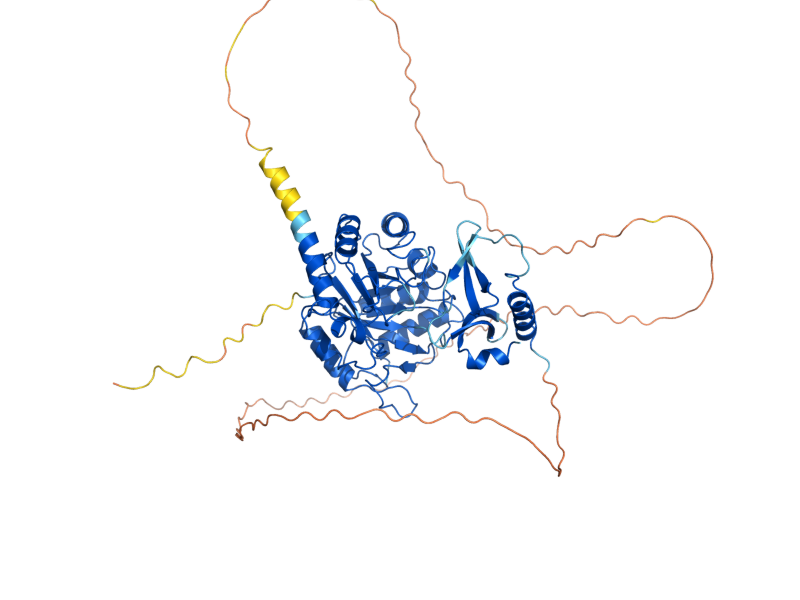 AlphaFold predicted structure of CTS1