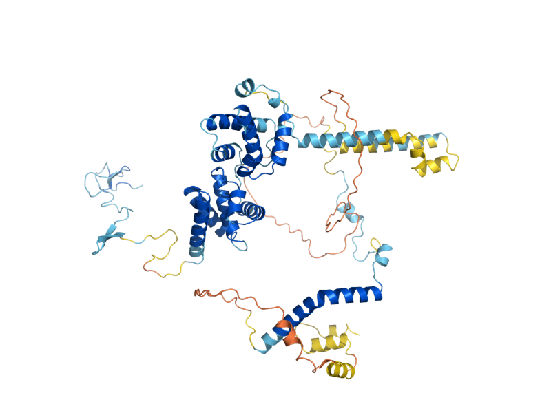 AlphaFold predicted structure of BRF1