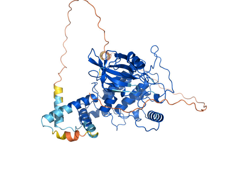 AlphaFold predicted structure of HRR25