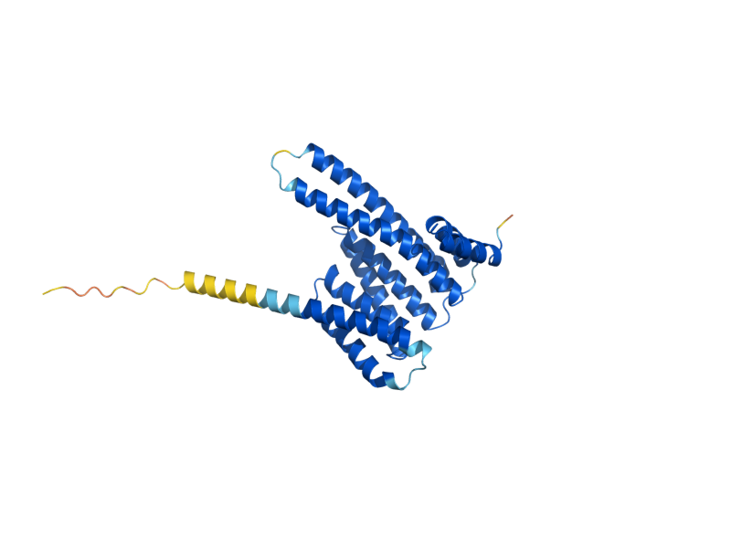 AlphaFold predicted structure of BMH1