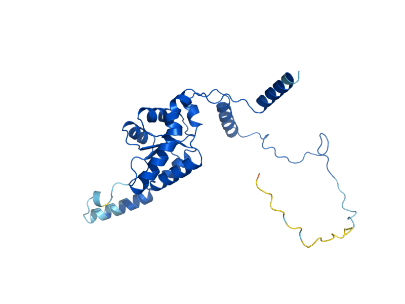 AlphaFold predicted structure of RPL8B