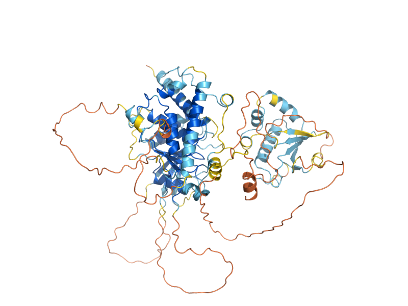 AlphaFold predicted structure of PTP2