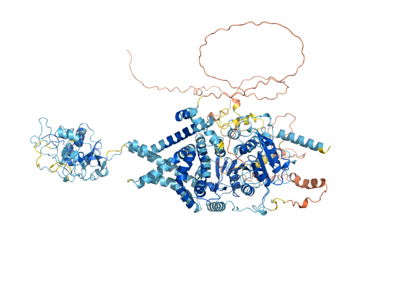 AlphaFold predicted structure of CHS3