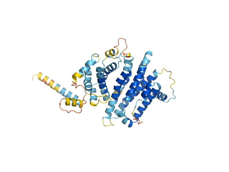 AlphaFold predicted structure of MEI4