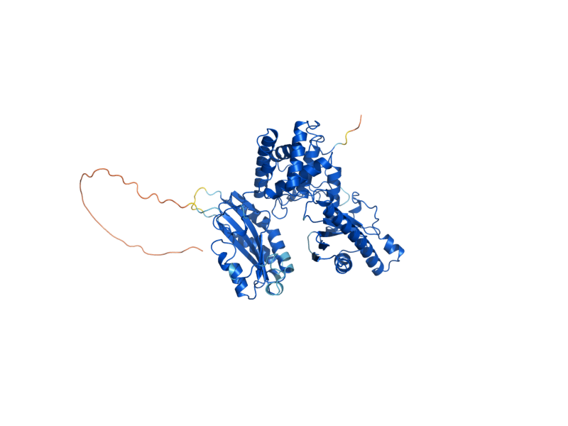 AlphaFold predicted structure of PAP1