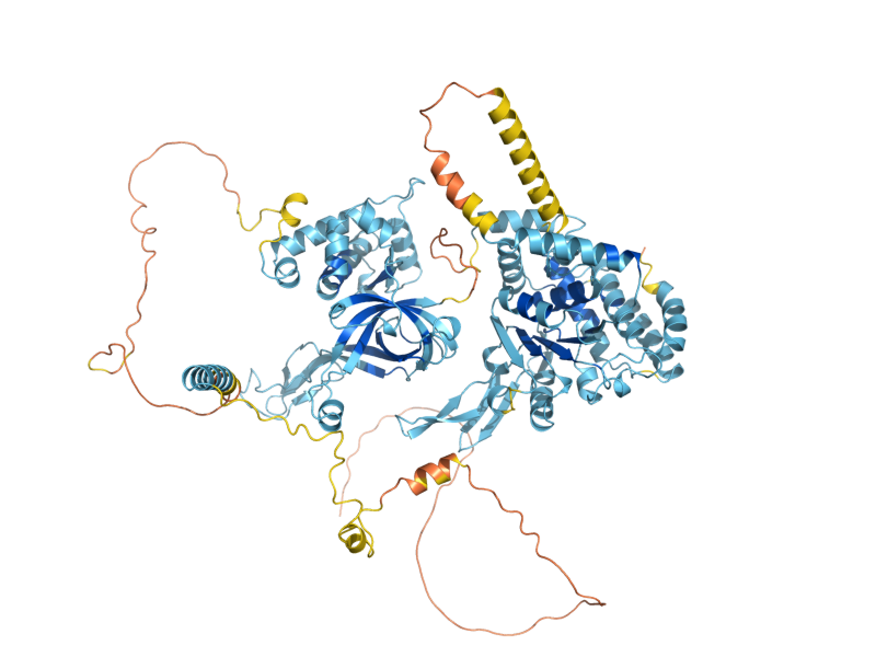 AlphaFold predicted structure of MCM2